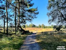 Wandern in der Westruper Heide, Haltern am See